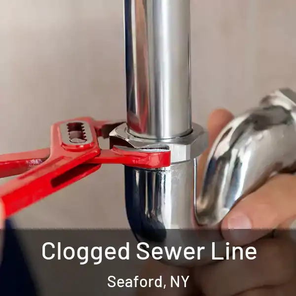  Clogged Sewer Line Seaford, NY