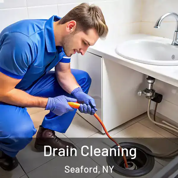  Drain Cleaning Seaford, NY