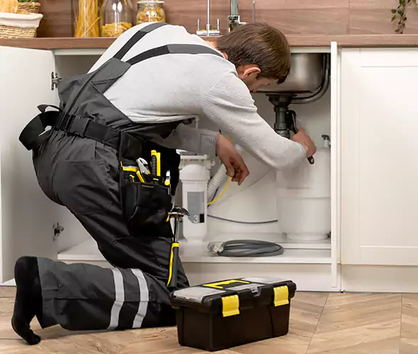 Certified Plumbers for Insinkerator Installation in Seaford