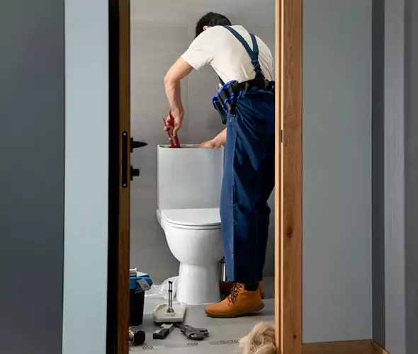 Professional Plumbers for Toilet Bowl Replacement in Seaford, NY: Schedule Affordable Toilet Replacement Services With Us