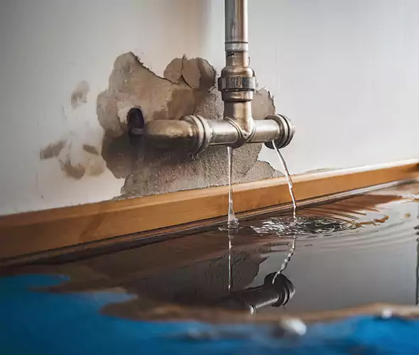Professional Water Damage Restoration Experts in Seaford, NY — Fast, Reliable & Certified