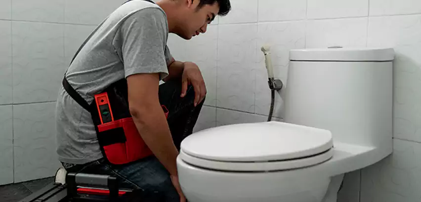 Toilet Repair in Seaford