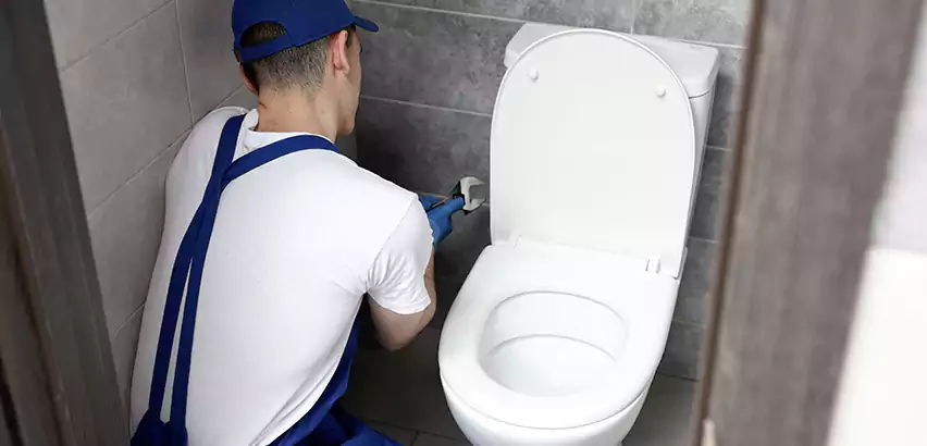 Toilet Lid Replacement in Seaford