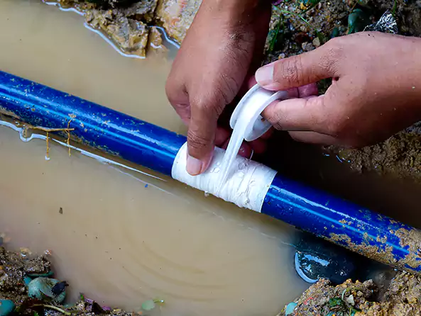  Why Choose Seaford Plumbing for Leak Detection in Seaford, NY?]