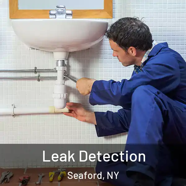  Leak Detection Seaford, NY