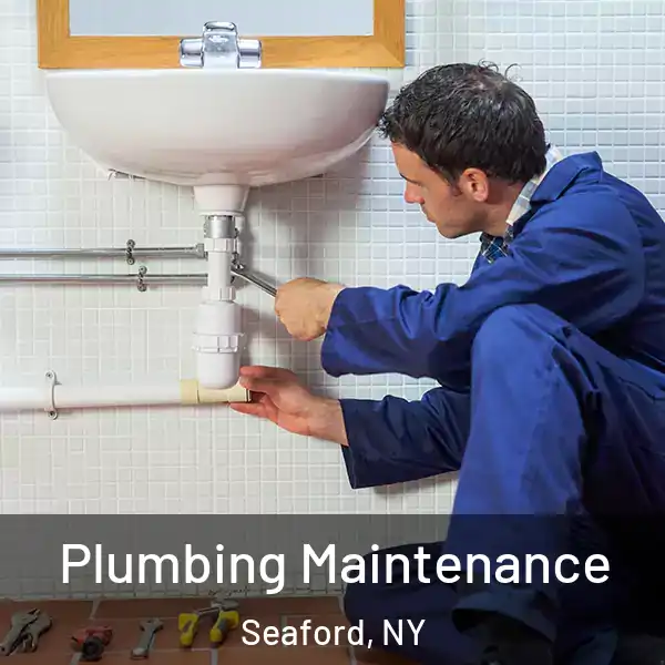  Plumbing Maintenance Seaford, NY
