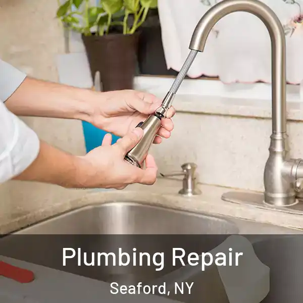  Plumbing Repair Seaford, NY