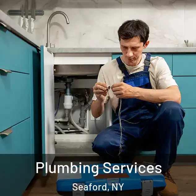  Plumbing Services Seaford, NY