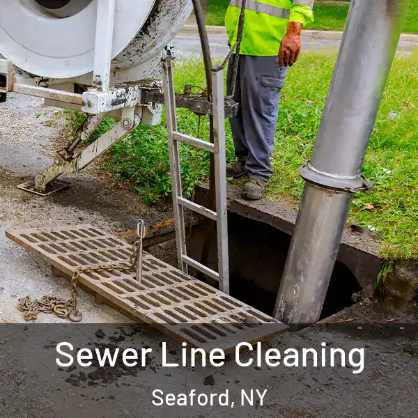  Sewer Line Cleaning Seaford, NY