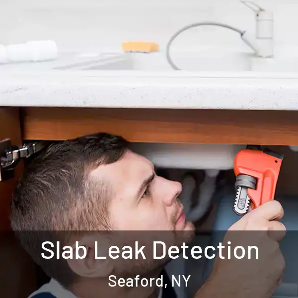  Slab Leak Detection Seaford, NY