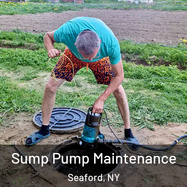  Sump Pump Maintenance Seaford, NY