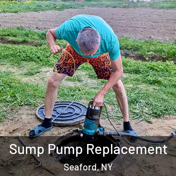  Sump Pump Replacement Seaford, NY