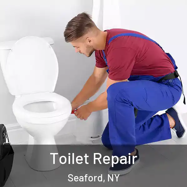  Toilet Repair Seaford, NY