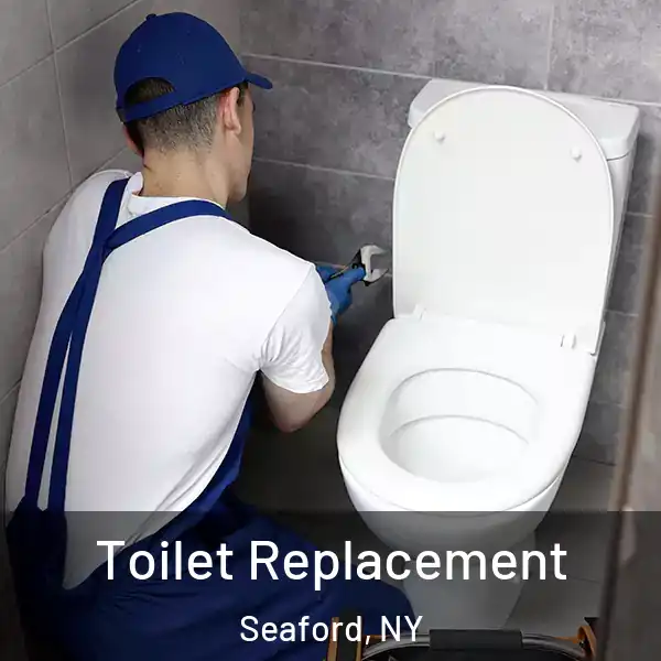  Toilet Replacement Seaford, NY
