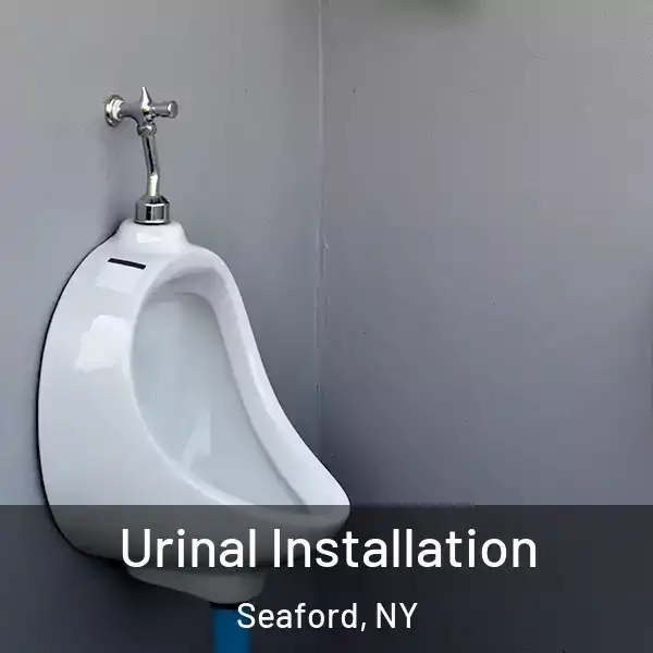  Urinal Installation Seaford, NY