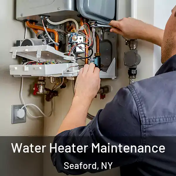  Water Heater Maintenance Seaford, NY