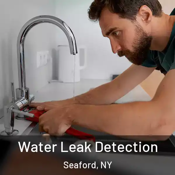  Water Leak Detection Seaford, NY